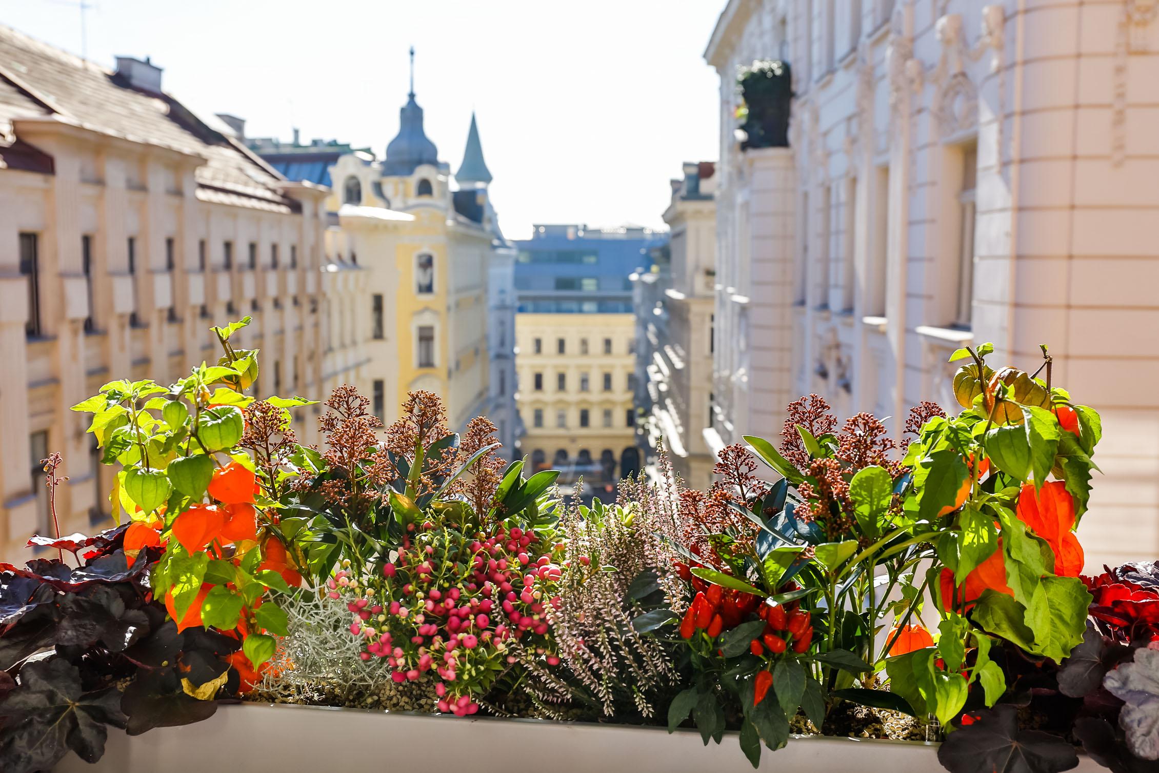 Boutiquehotel Das Tyrol Wien Eksteriør billede